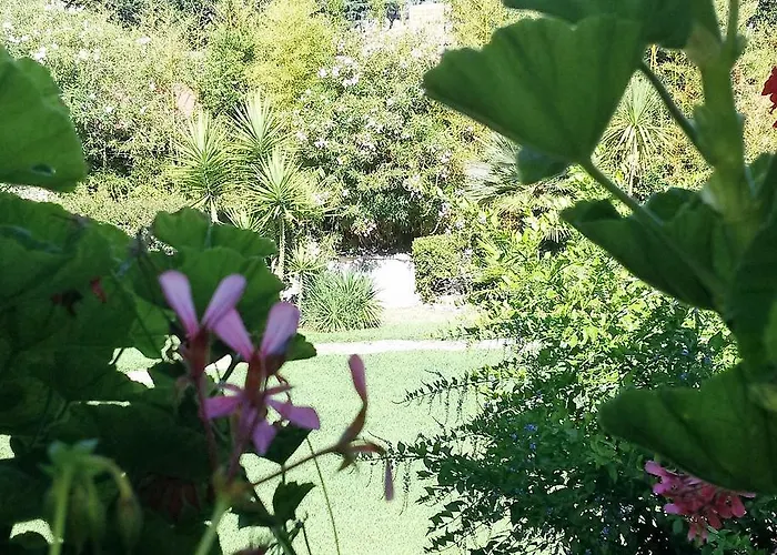 Bed and Breakfast Casa Per Ferie Cardinal G. Guarino